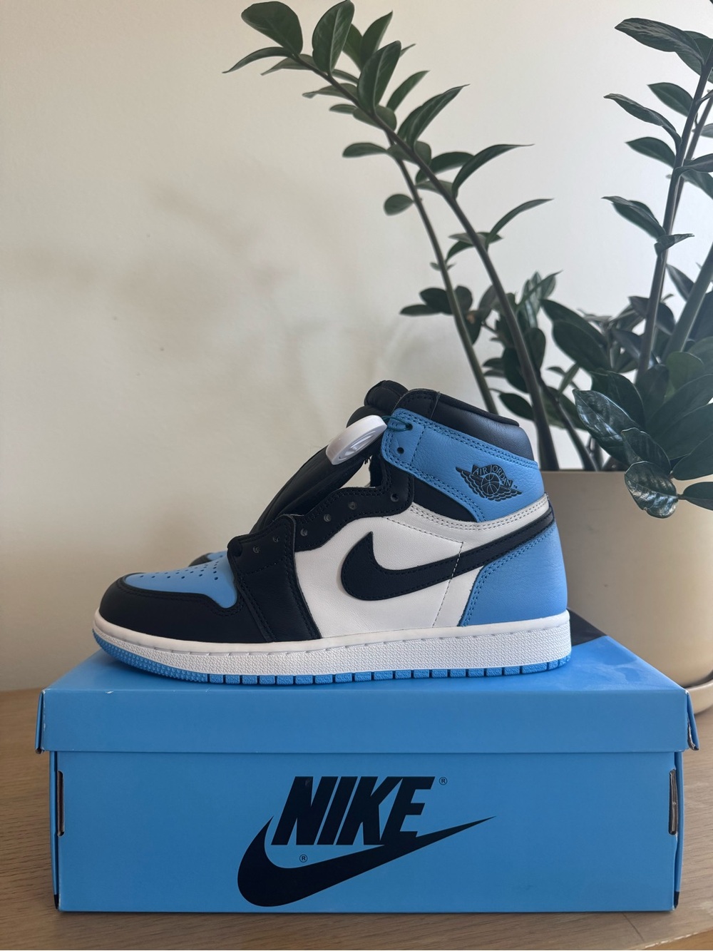 Nike Carolina Shoes